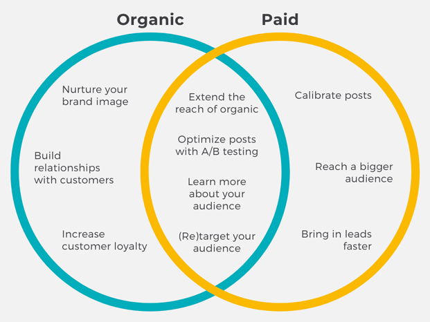 Organic vs paid social media marketing mix