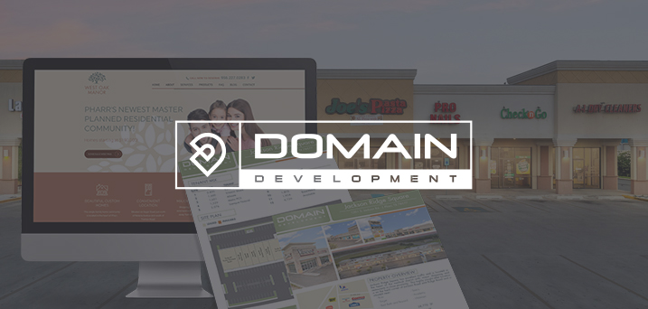 Domain Development